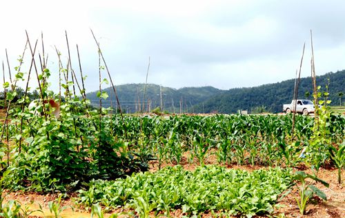 首页| 6008集团官方网站有限公司