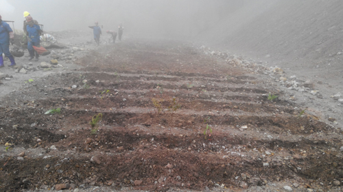 首页| 6008集团官方网站有限公司