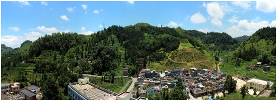 首页| 6008集团官方网站有限公司