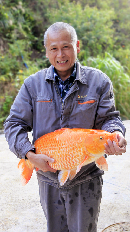 首页| 6008集团官方网站有限公司