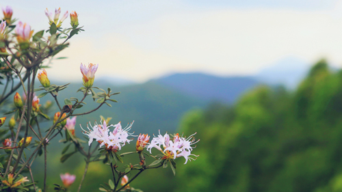 首页| 6008集团官方网站有限公司