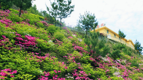 首页| 6008集团官方网站有限公司