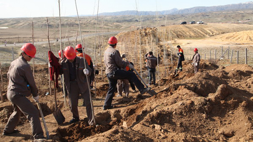 首页| 6008集团官方网站有限公司