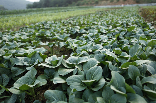 首页| 6008集团官方网站有限公司