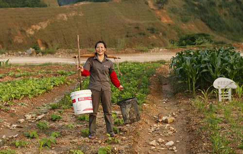 首页| 6008集团官方网站有限公司
