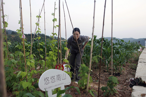 首页| 6008集团官方网站有限公司