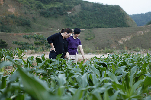 首页| 6008集团官方网站有限公司