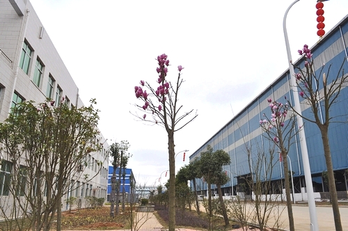 首页| 6008集团官方网站有限公司