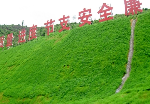 首页| 6008集团官方网站有限公司