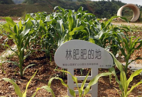 首页| 6008集团官方网站有限公司