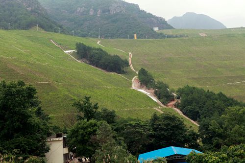 首页| 6008集团官方网站有限公司