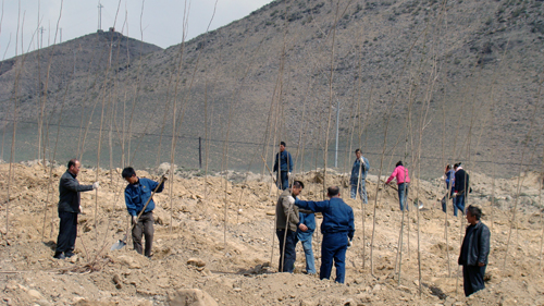 首页| 6008集团官方网站有限公司