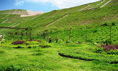 首页| 6008集团官方网站有限公司