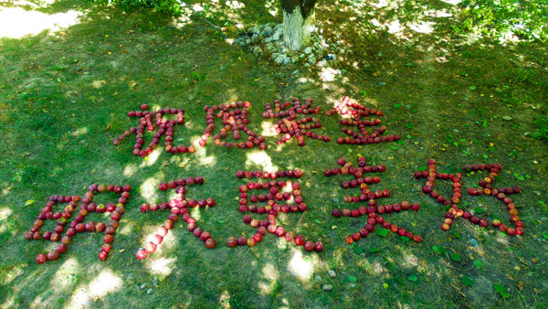 46b023b27c144798a25f513656fda311