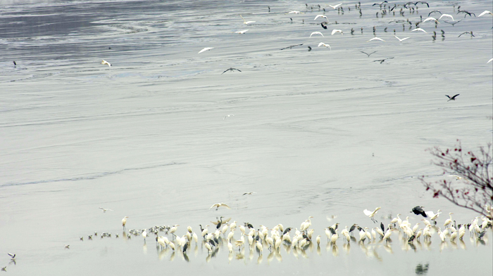 171309100c9a437bb2fb80bd6fff918b