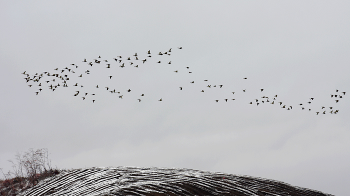 1a669dafe660420bada535dcd93a52e4