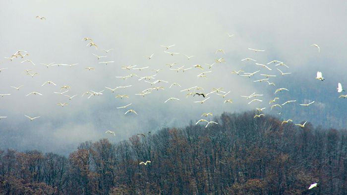 d97a5a3c98dc4171951cc9e0e37c9de6