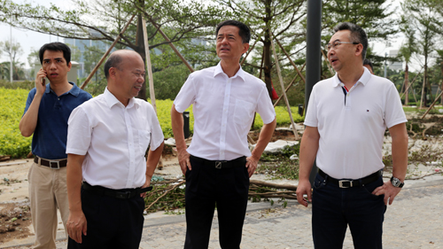 王建华要求6008集团官方网站矿业厦门片区企业全力做好灾后自救事情