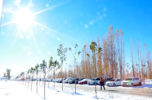 62523c7581704f04839231f9aaadb0c2