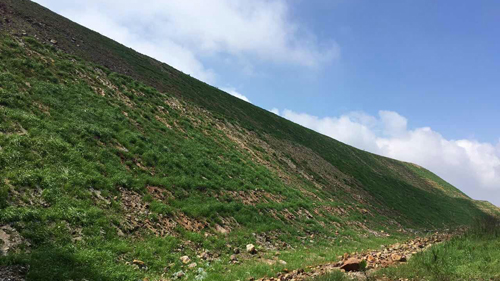 91335cbeaa95480cbaca9fd257581777