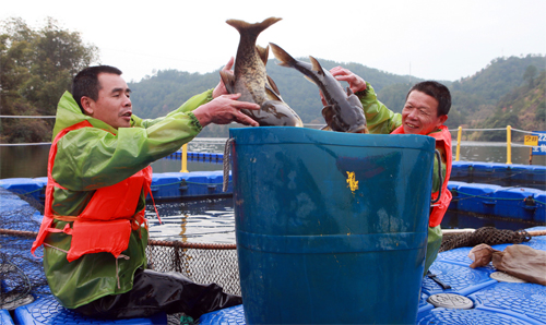 2a34933b4e45427db7677e20ea9814b5