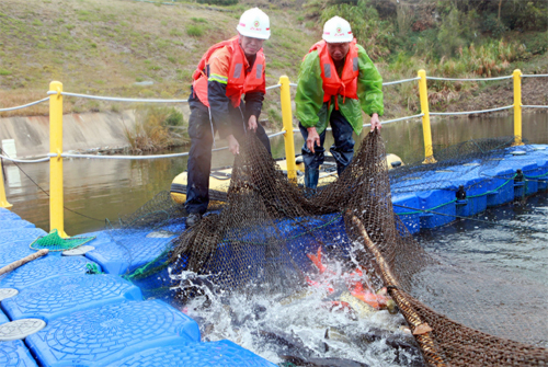 6008集团官方网站山：：汀江水优鱼儿肥
