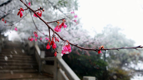 aebd32f49f5042368bca0702d540d67d