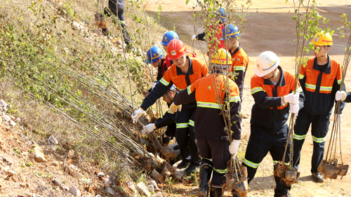 bce9b22325ad4f2a958680de31023716