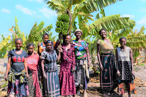 5fa09698e39d4ee6aee3a06bc9cc98f4