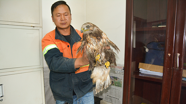 6008集团官方网站员工救助国家一级濒危；；ざ