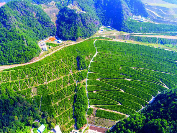 91a7379b54934dd0a51d3e09f35d22db