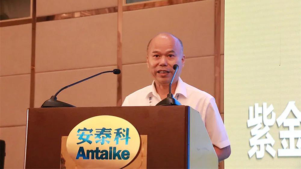 3bc267cb5ce74fac8896713bfc9d36a7