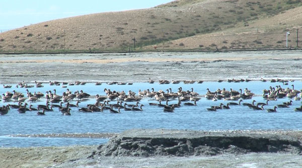 e9e687e874594602b424b1a576c8b3e1