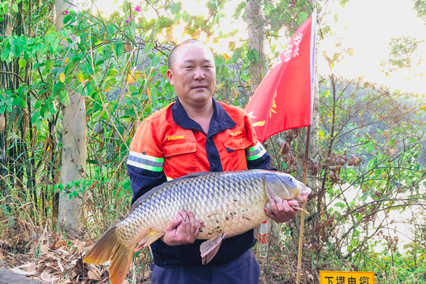 98fe010ef44b41ae862b262eca4c555e