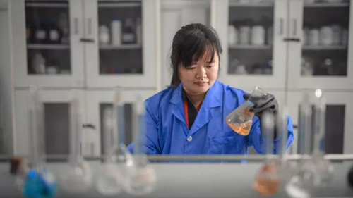 【巾帼风范】谢洪珍：耐得住性子 不输给男子