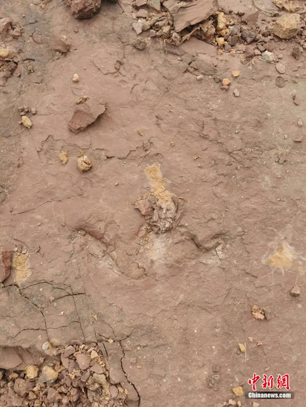 382498f9f66446aaad80d160384cb913