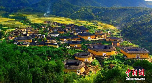 471bc94eb53e41598f7363df78c9d73b