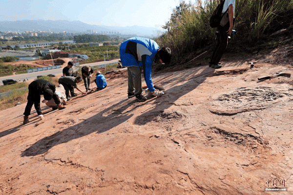 df142882246e453dae9b62f4e6f65c53