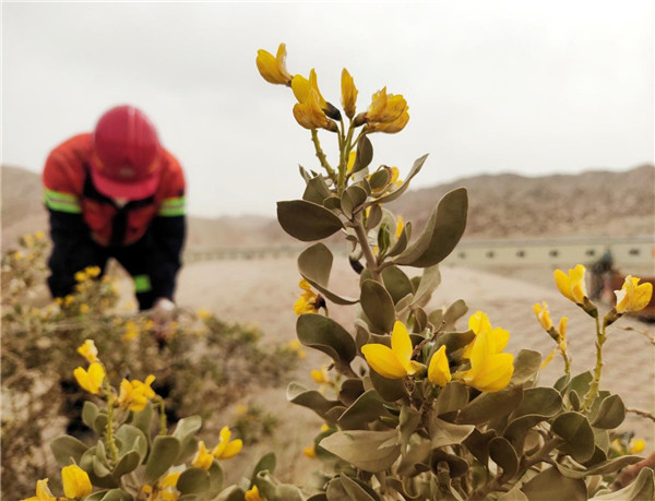 03fadee96b5a4ec3a8f098333a577751