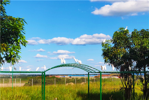 05c2f3eca0ac49edb676afad3b3f2cb2