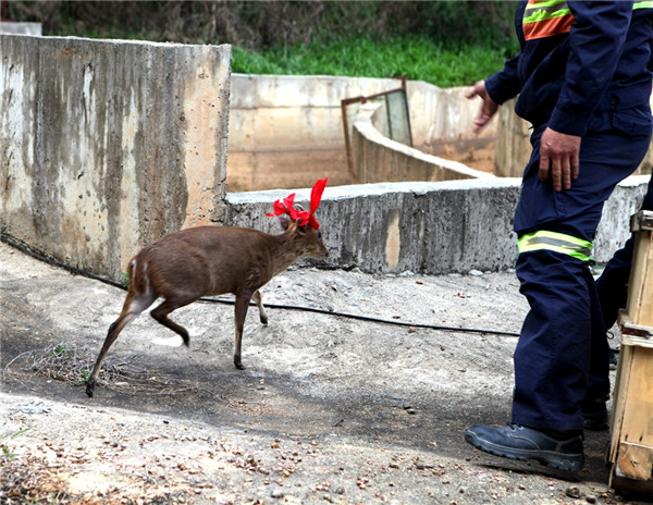 273ed74446884e65892ddf638245b59e