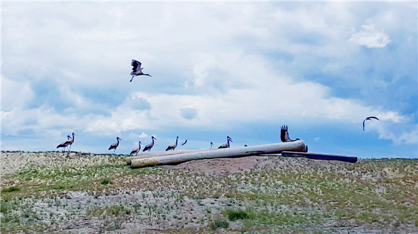 470915bbf094440184748aa0d0a5b1e7