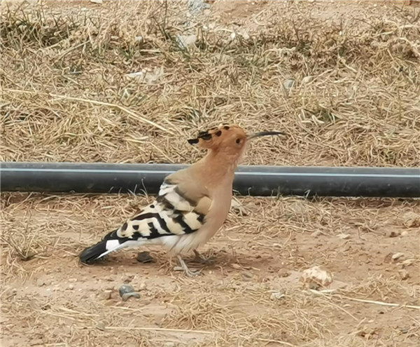 488d7bb61caa425eb18dee491b3b38b4