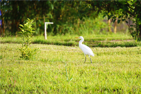 65be962dbc7c4c7e98f0d4c004de2320