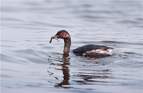 9f7312b0b4ac453d8c5a929db5fc28d1