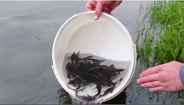 9f47bdebe4494d92b6f71c90ff396883