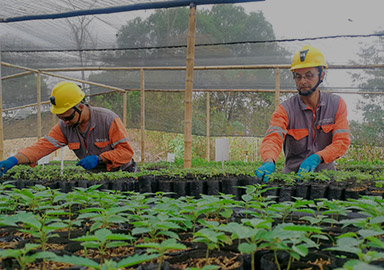 首页| 6008集团官方网站有限公司