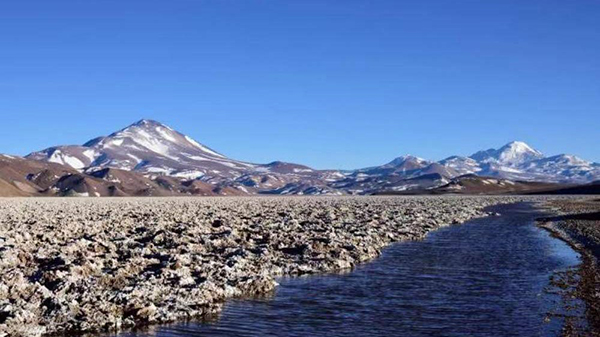 82a9f2de618e4ed7bb5f0c26c903be08