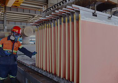 首页| 6008集团官方网站有限公司