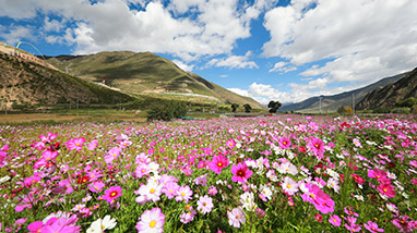 首页| 6008集团官方网站有限公司